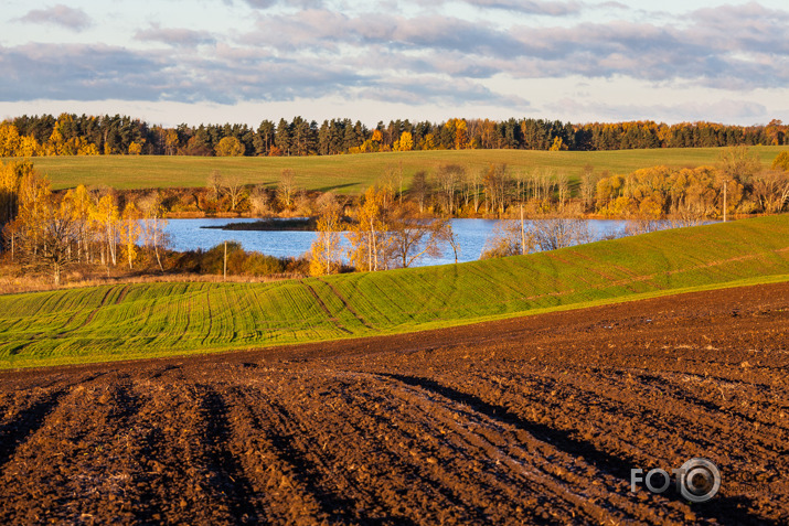 Rudens līnijas