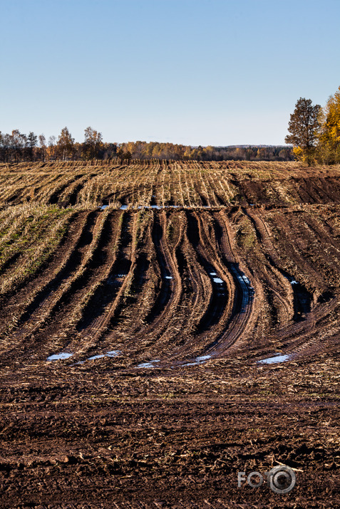 Rudens līnijas