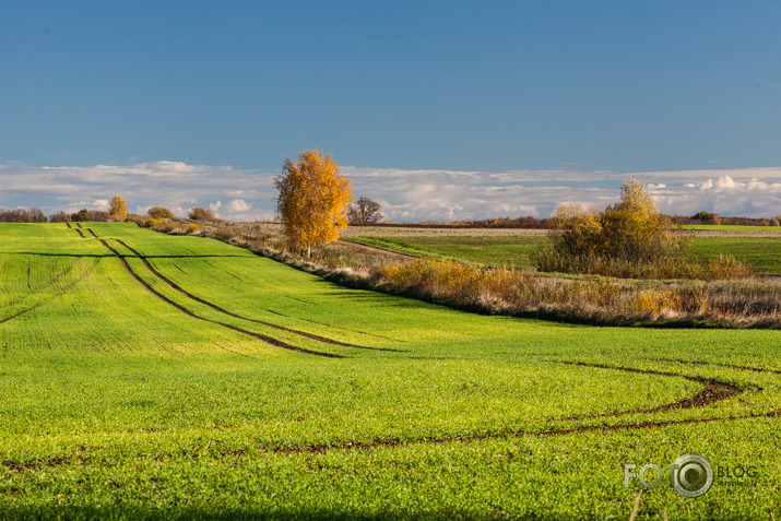 Rudens līnijas