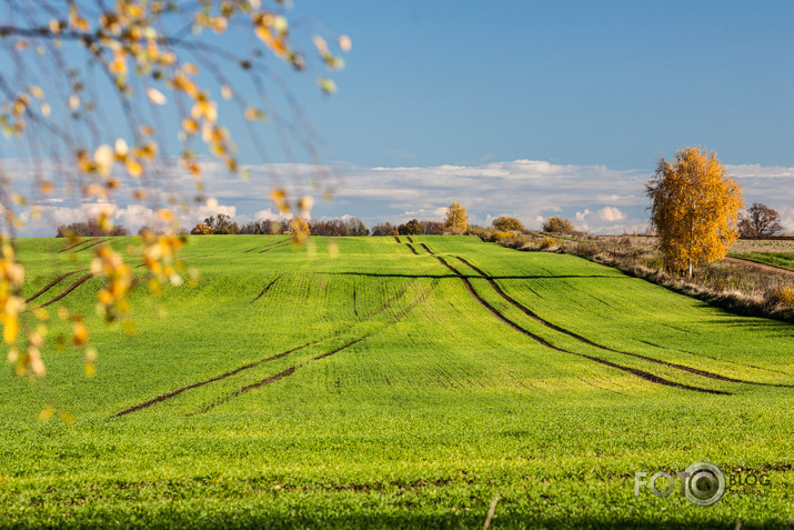 Rudens līnijas