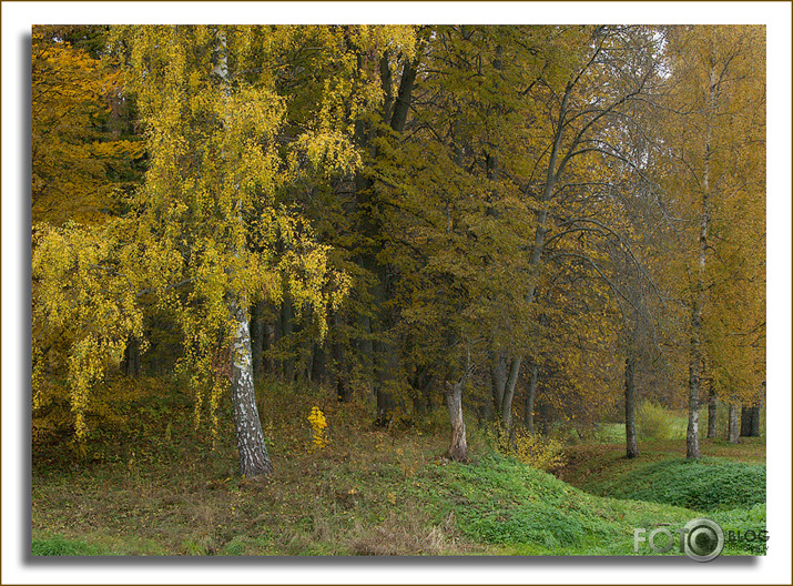 VALMIERAS MEŽAPARKS