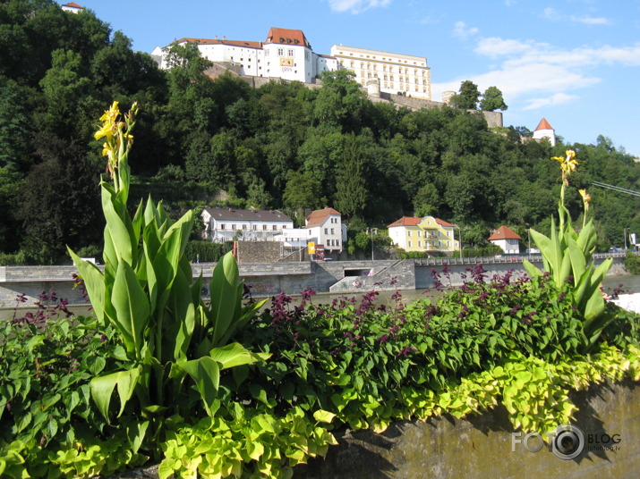 Pa Donavu-Pasava