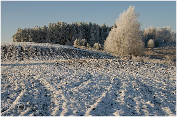 Ziemas līnijas