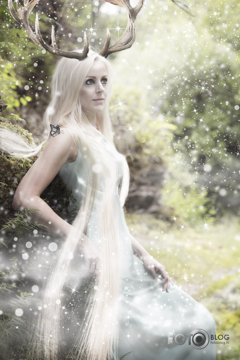 Elfs