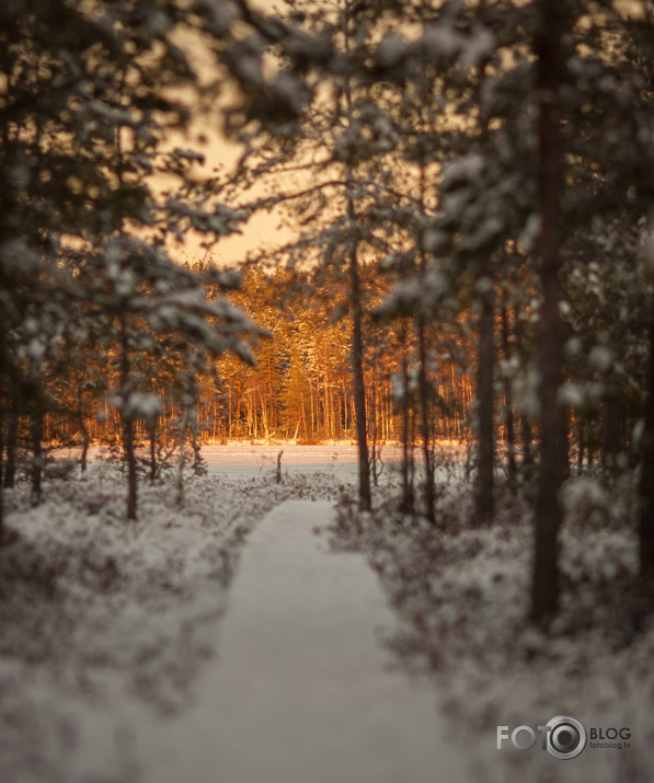 Tīrumnieku takas