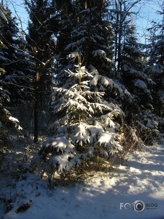 Paldies Dieviņam, svētki garām...