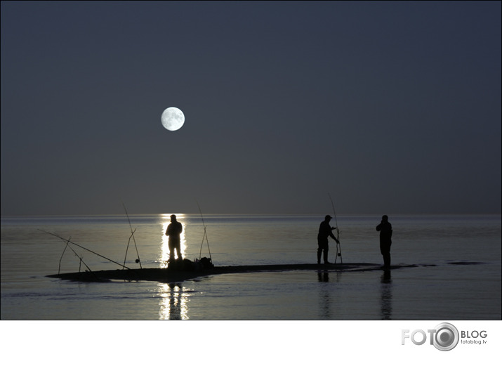 Moonlight Fishing