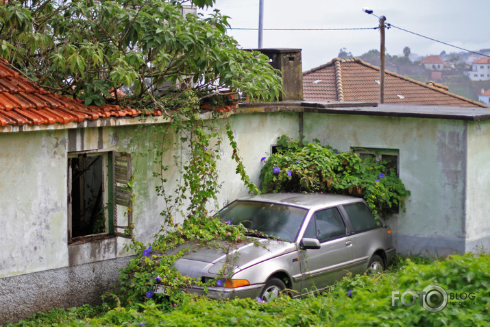 Madeira, Funšala