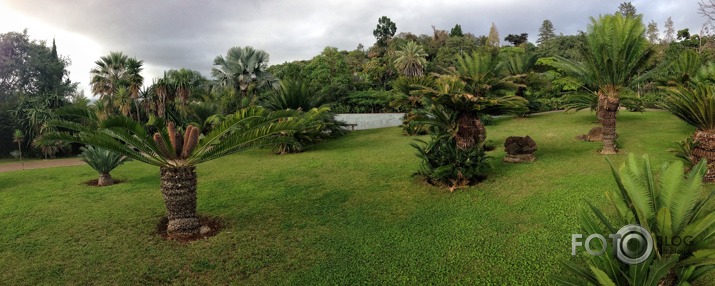 Madeira, Funšala