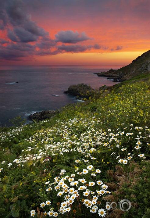 Saints Bay