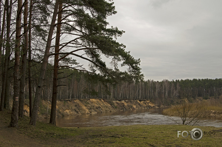 Gauja aprīlī