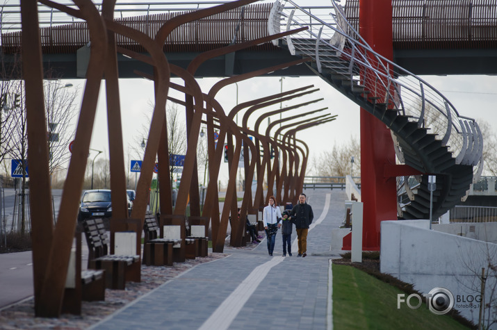 Skaistā Jelgavas promenāde