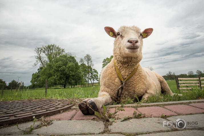 Latgale, latgale, latgale 2