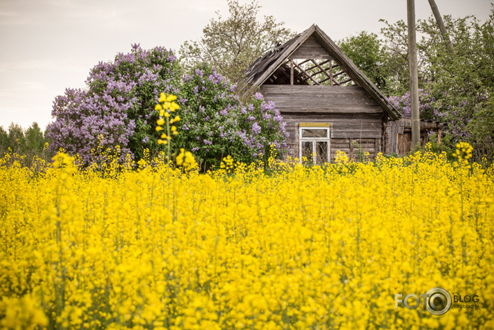 Latgale, latgale, latgale 2