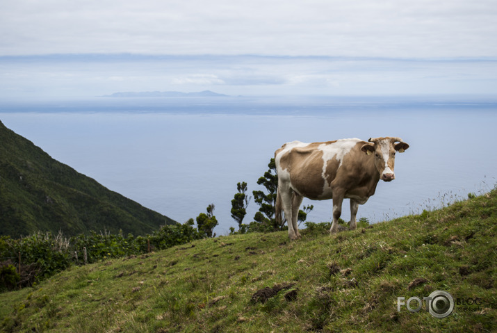  Açores - zaļā paradīze