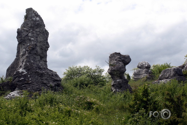 sagribējās Gotlandi...