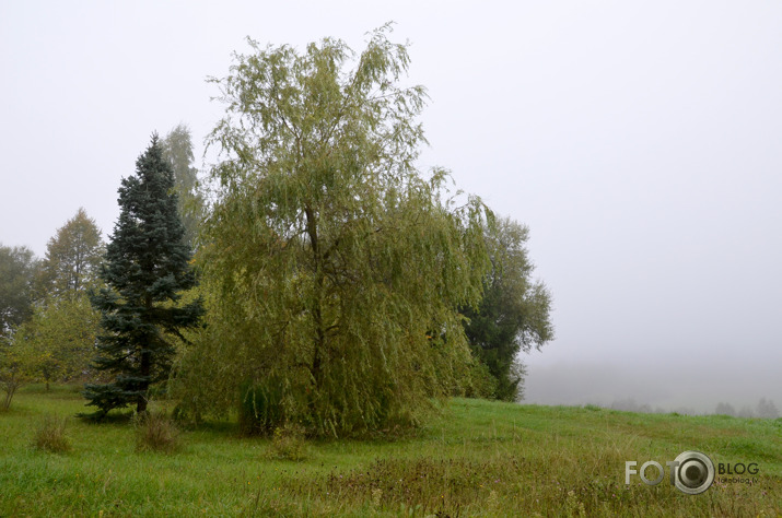 ...un kārtējais rudens...