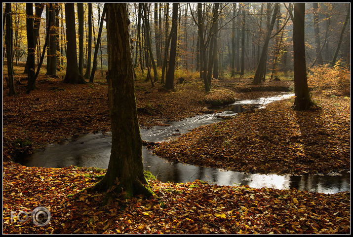 Klingbach. Rudens līkloči