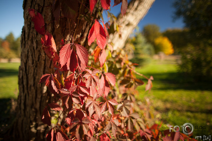 Nāk rudens apgleznot Latviju... (F1.4)