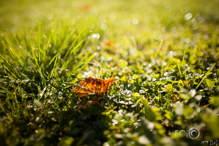 Nāk rudens apgleznot Latviju... (F1.4)