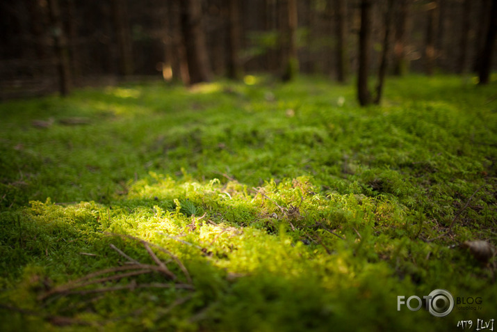 Nāk rudens apgleznot Latviju... (F1.4)