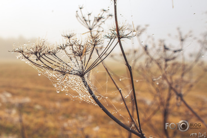 Nāk rudens apgleznot Latviju... (F1.4)