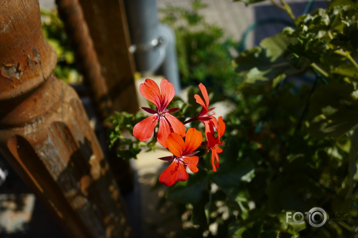 Lumix CM1 tests