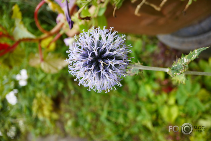 Lumix CM1 tests