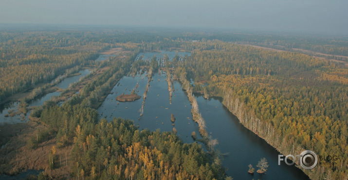 Zelta rudens (Bez Siguldas)