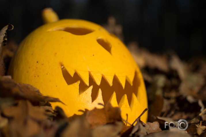 halloween 2015