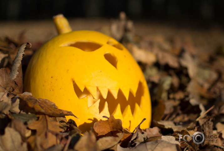halloween 2015