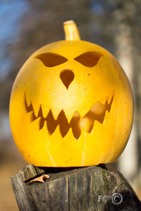 halloween 2015