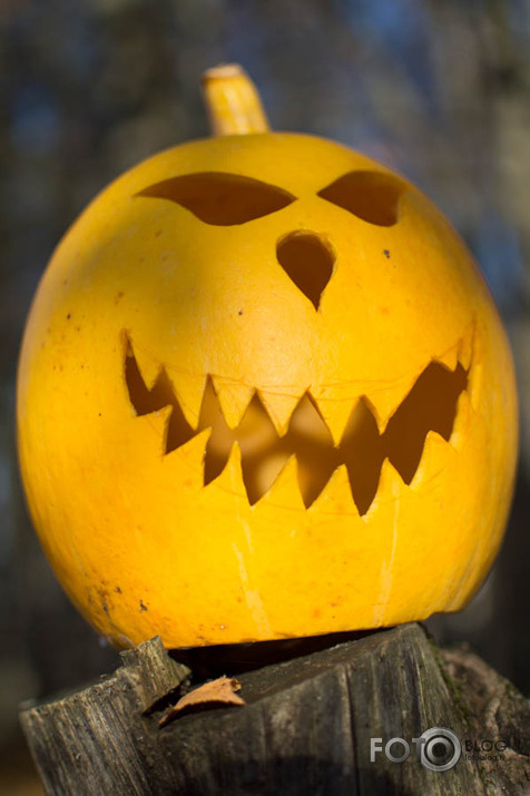 halloween 2015