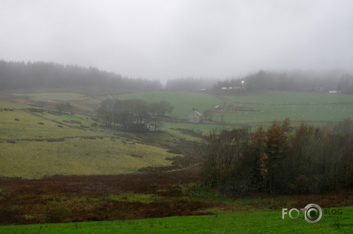 WRC Wales 2015 