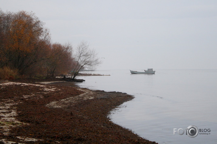 Svētku dienas-18.nov.