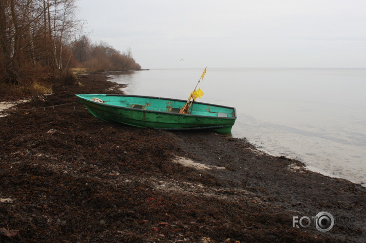 Svētku dienas-18.nov.