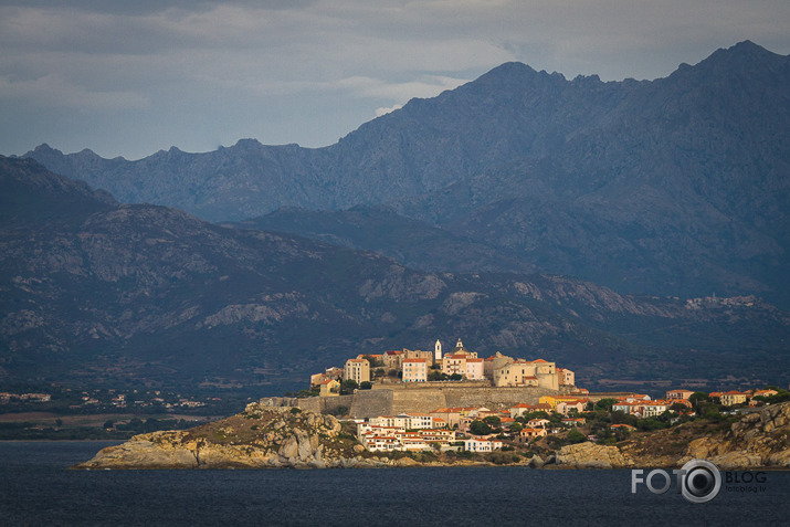 Calvi