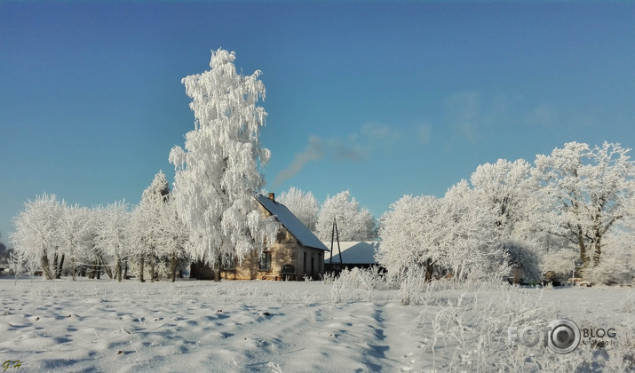 Ziemas skaistums