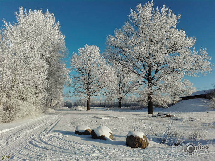 Ziemas skaistums