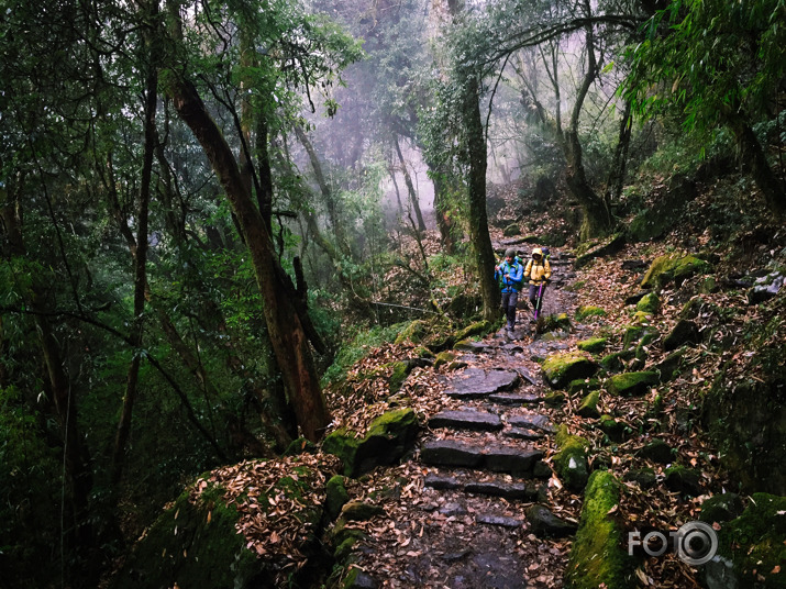 Himalaju takas