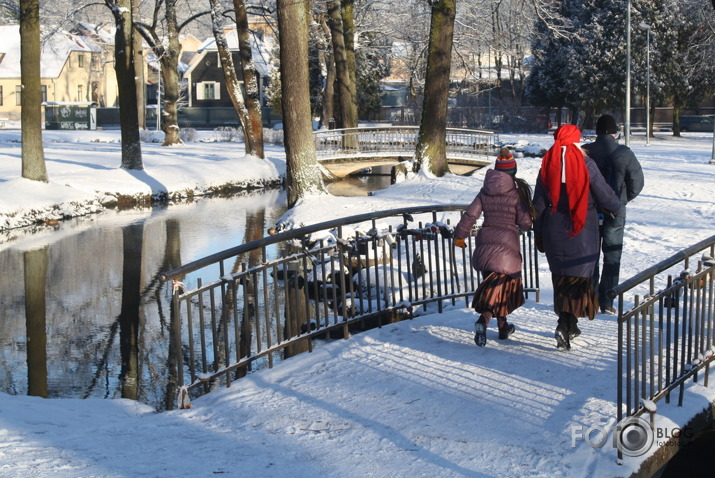 Pūpolsvētdiena...