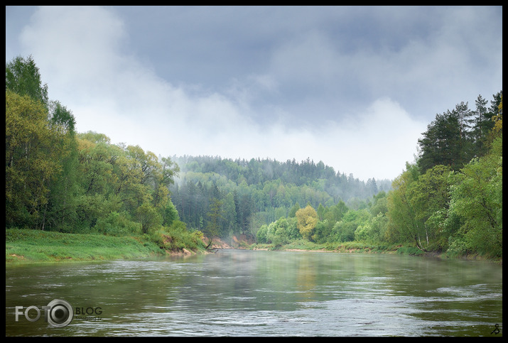 Gauja tvaiko