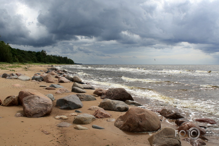 akmeņainā piekraste...Tūja-Dunte...