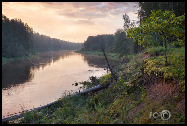 Pēdējā sezona. Gauja.