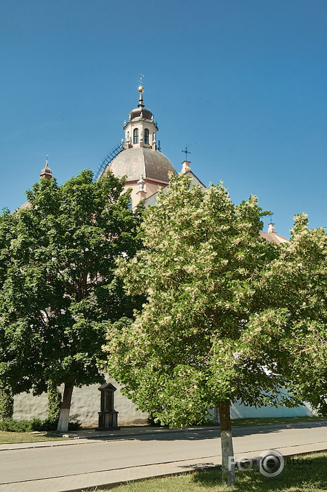 Ņesviža (Baltkrievija)
