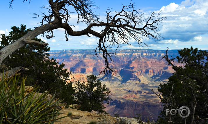 Grand Canyon