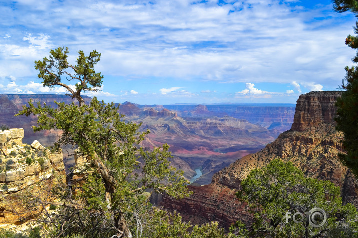 Grand Canyon