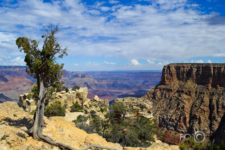 Grand Canyon