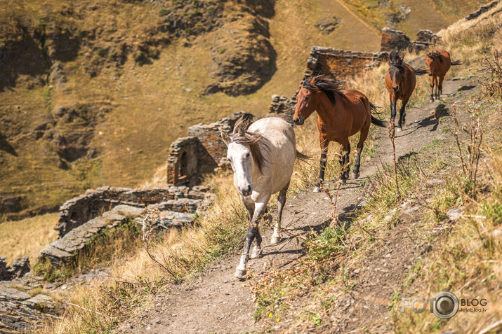 Georgia, Tusheti - 180km trekings, otrā daļa