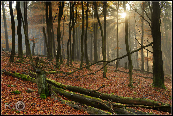 Rudens pēcpusdiena Altkoniga pakājē